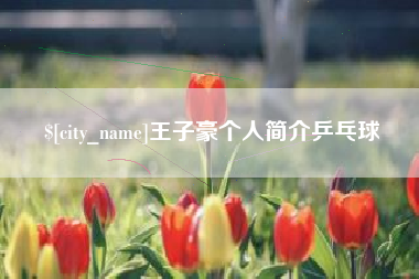 伊川王子豪个人简介乒乓球