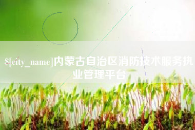 伊川内蒙古自治区消防技术服务执业管理平台