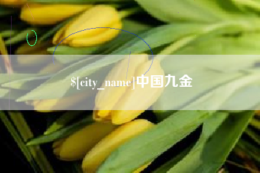 伊川中国九金