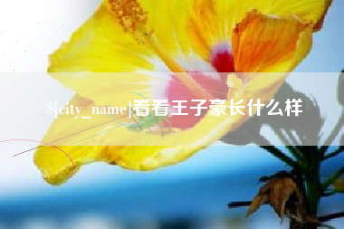 伊川看看王子豪长什么样