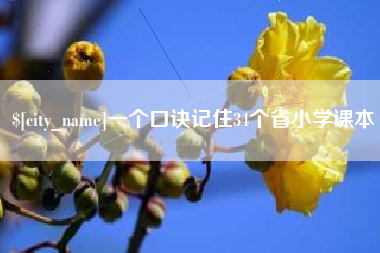 伊川一个口诀记住34个省小学课本