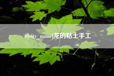 伊川龙的粘土手工