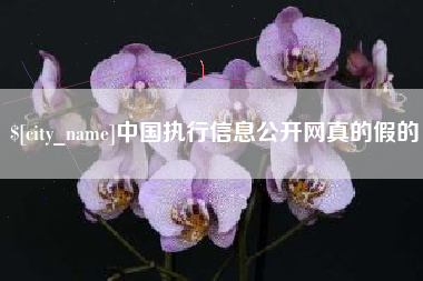 伊川中国执行信息公开网真的假的