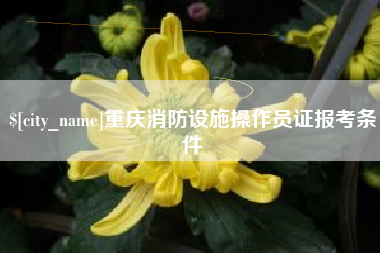 伊川重庆消防设施操作员证报考条件