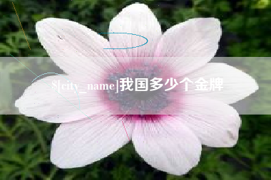 伊川我国多少个金牌