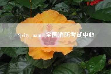 伊川全国消防考试中心