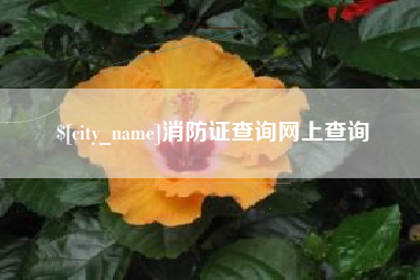 伊川消防证查询网上查询