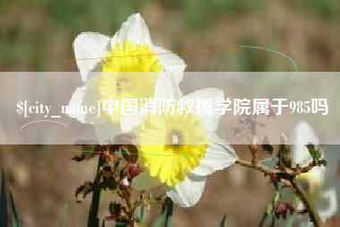 伊川中国消防救援学院属于985吗