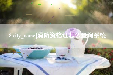 伊川消防资格证怎么查询系统