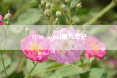 伊川第九金是