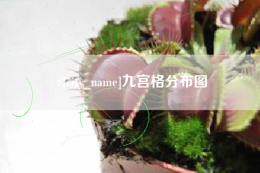 伊川九宫格分布图