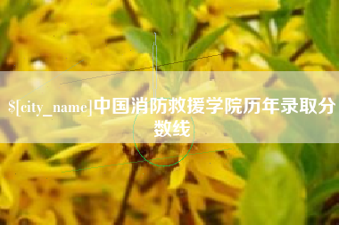 伊川中国消防救援学院历年录取分数线
