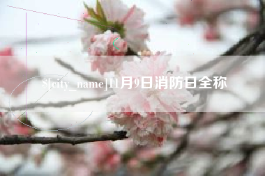 伊川11月9日消防日全称
