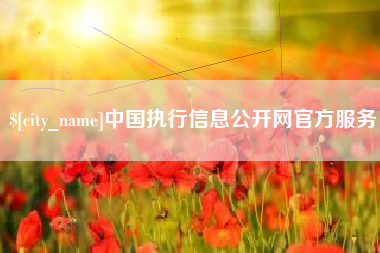 伊川中国执行信息公开网官方服务