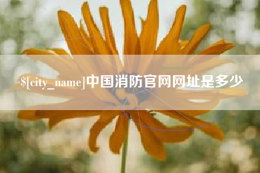 伊川中国消防官网网址是多少