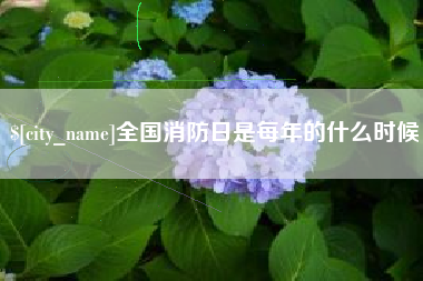 伊川全国消防日是每年的什么时候