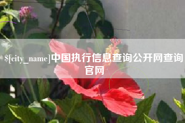 伊川中国执行信息查询公开网查询官网