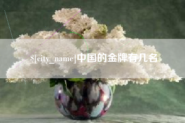 伊川中国的金牌有几名