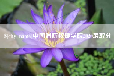 伊川中国消防救援学院2020录取分