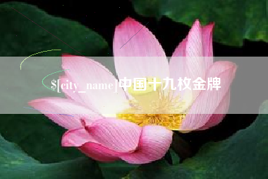 伊川中国十九枚金牌