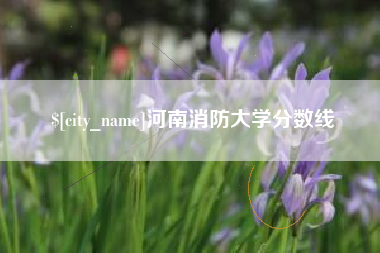 伊川河南消防大学分数线