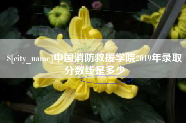 伊川中国消防救援学院2019年录取分数线是多少