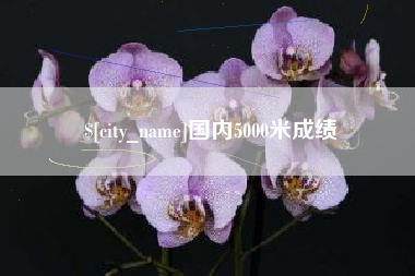 伊川国内5000米成绩