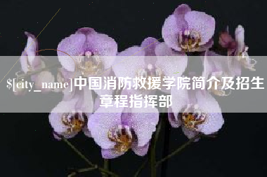 伊川中国消防救援学院简介及招生章程指挥部