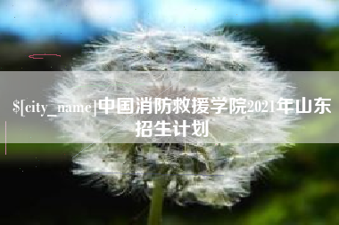 伊川中国消防救援学院2021年山东招生计划