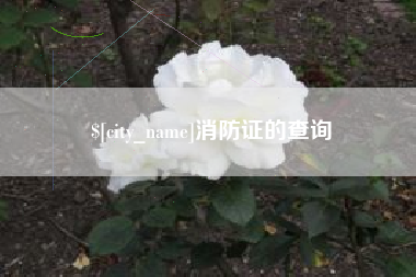 伊川消防证的查询