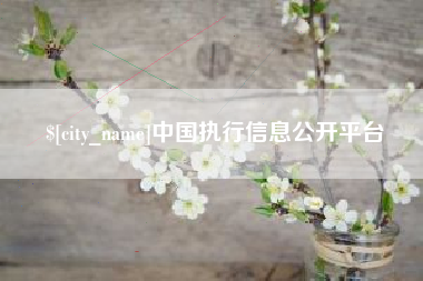 伊川中国执行信息公开平台
