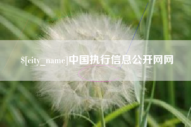 伊川中国执行信息公开网网