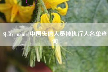 伊川中国失信人员被执行人名单查询