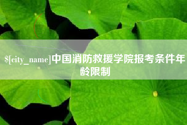 伊川中国消防救援学院报考条件年龄限制