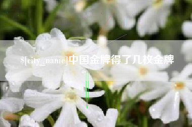 伊川中国金牌得了几枚金牌