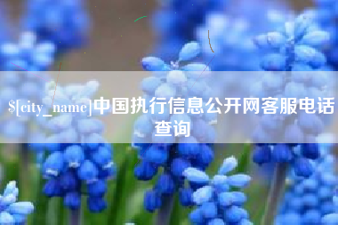 伊川中国执行信息公开网客服电话查询