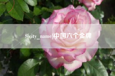 伊川中国六个金牌