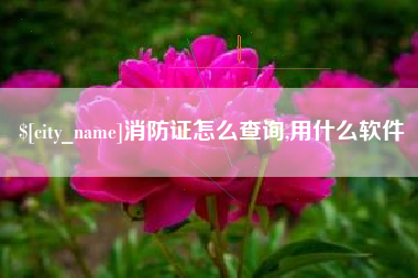 伊川消防证怎么查询,用什么软件