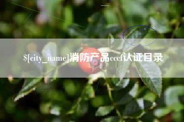 伊川消防产品cccf认证目录