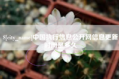 伊川中国执行信息公开网信息更新时间是多久