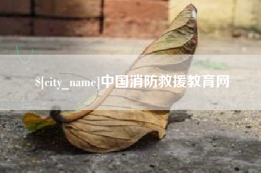伊川中国消防救援教育网