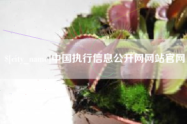 伊川中国执行信息公开网网站官网