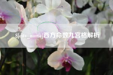 伊川西方命数九宫格解析