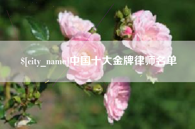 伊川中国十大金牌律师名单