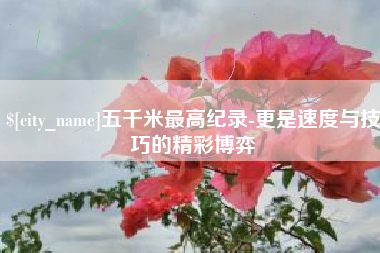 伊川五千米最高纪录-更是速度与技巧的精彩博弈