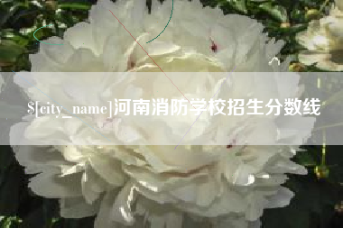 伊川河南消防学校招生分数线