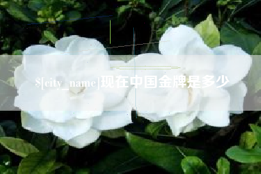 伊川现在中国金牌是多少