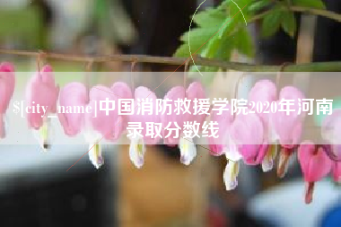 伊川中国消防救援学院2020年河南录取分数线