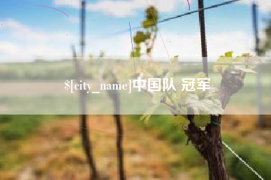 伊川中国队 冠军