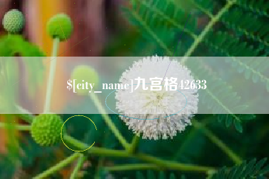 伊川九宫格42633